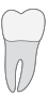 32 tooth icon